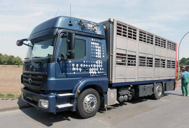 Доставка свиней автотранспортом из Заиграево в Иркутск
