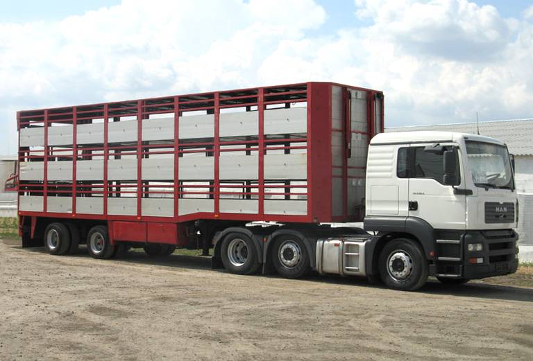 Прицеп для перевозки крупного рогатого скота из Новогромово в Введенщину